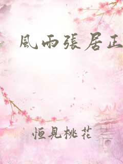 风雨张居正下载