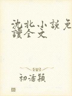 沈北小说免费阅读全文