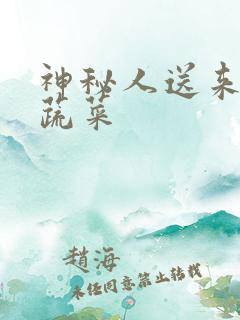 神秘人送来千斤蔬菜