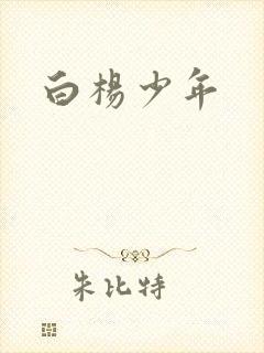 白杨少年