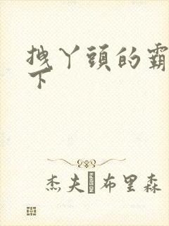 拽丫头的霸道殿下