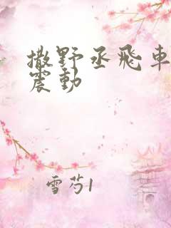 撒野丞飞车道具震动