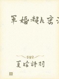 军婚超h密液