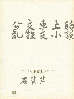 公交车上的疯狂乱牲交小说