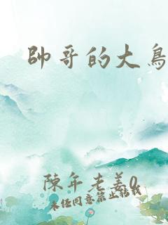 帅哥的大鸟