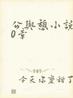 公与憩小说400章