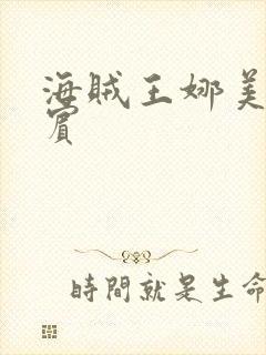 海贼王娜美h罗宾