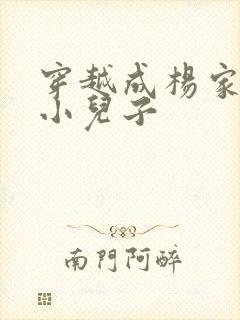 穿越成杨家将最小儿子