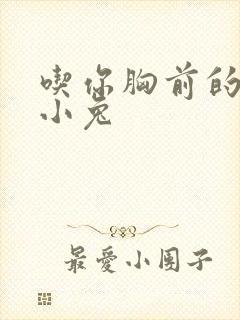 吃你胸前的两只小兔