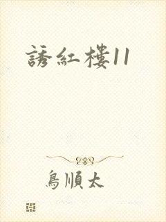 诱红楼11