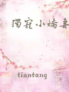 独宠小娇妻