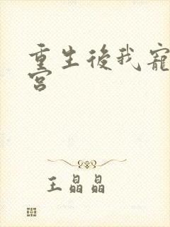 重生后我宠冠东宫