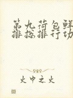 第九荷包鲜辣肉排总排行功能介绍