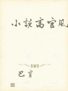 小说高官风流