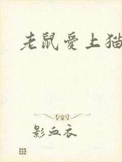 老鼠爱上猫下载