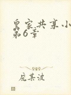 皇家共享小公主第6章