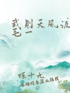 武则天风流艳情毛一