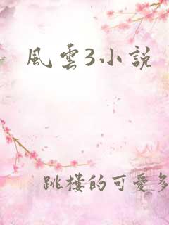 风云3小说