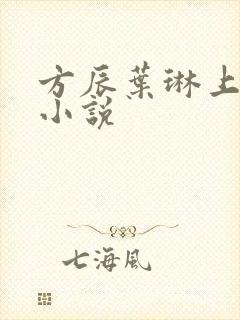 方辰叶琳上官步小说