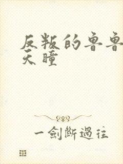 反叛的鲁鲁修之天瞳