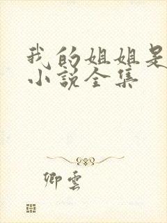 我的姐姐是尤物小说全集