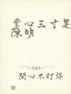 掌心三寸是人间陈明