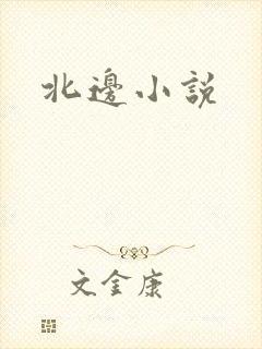 北边小说