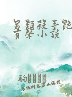 另类杀手艳福星有声小说