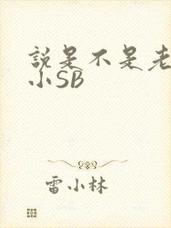 说是不是老公的小SB