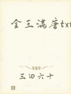 金玉满唐txt