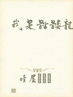 我是骷髅龙骑兵