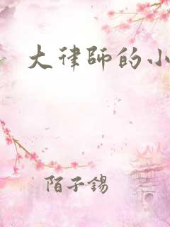 大律师的小老婆