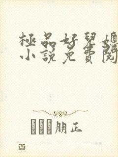 极品好儿媳苏灿小说免费阅读