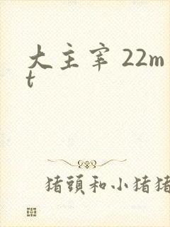 大主宰 22mt