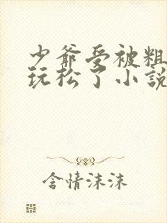 少爷受被粗汉H玩松了小说