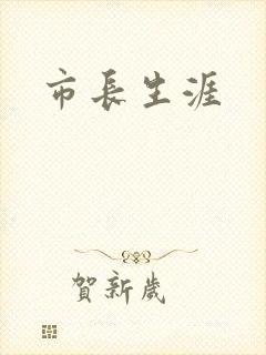 市长生涯