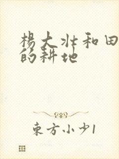 杨大壮和田桂花的耕地