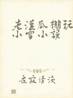 老汉瓜棚玩小丹小雪小说
