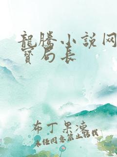 龙腾小说网 三宝局长