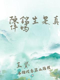 陈铭生是真实事件吗