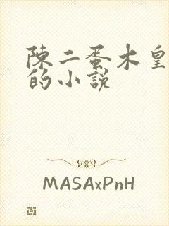 陈二蛋木皇真经的小说