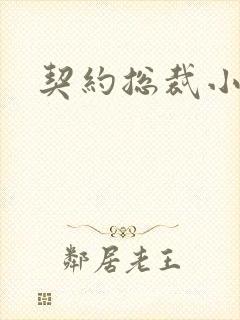 契约总裁小萌宝