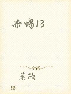 赤蝎13