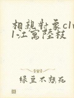 相亲对象c1v1江寓陆枝