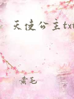 天使公主txt