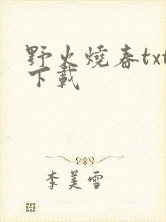 野火烧春txt下载