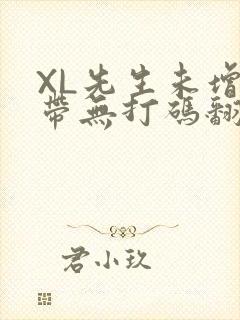 XL先生未增删带无打码翻译