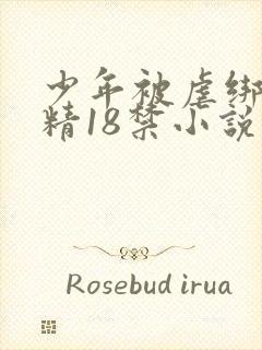 少年被虐绑着榨精18禁小说