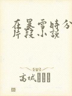 在暴雪时分高能片段小说