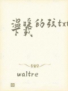 温暖的弦txt下载